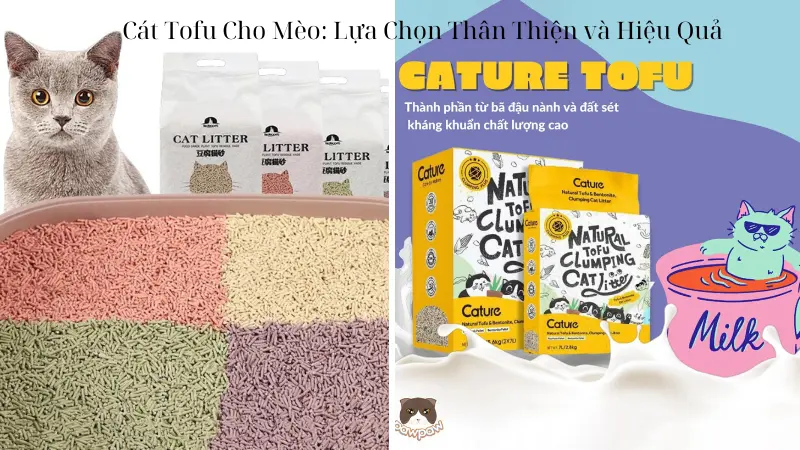 Cát Tofu Cho Mèo: Lựa Chọn Thân Thiện và Hiệu Quả